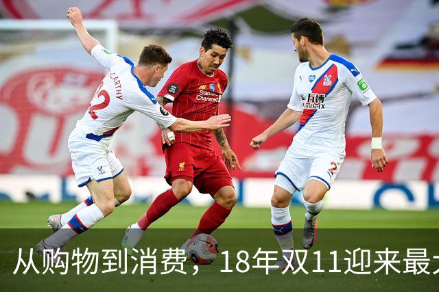 从购物到消费，18年双11迎来最大一次跃迁